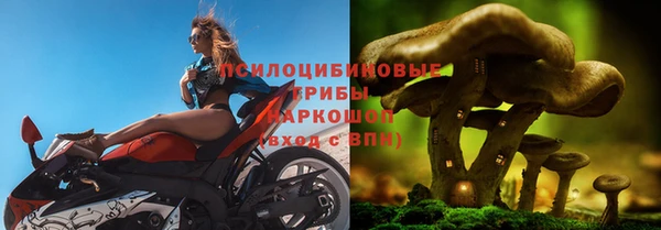 СК Бугульма
